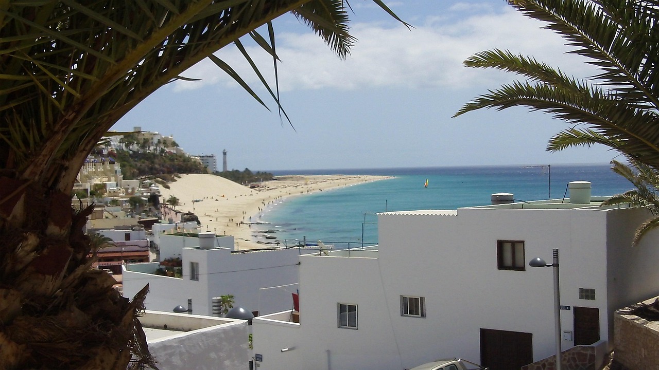 Fuerteventura Life Directory